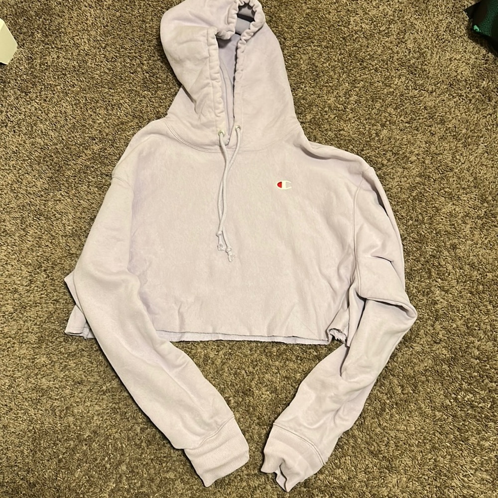 Champion Cropped Hoodie